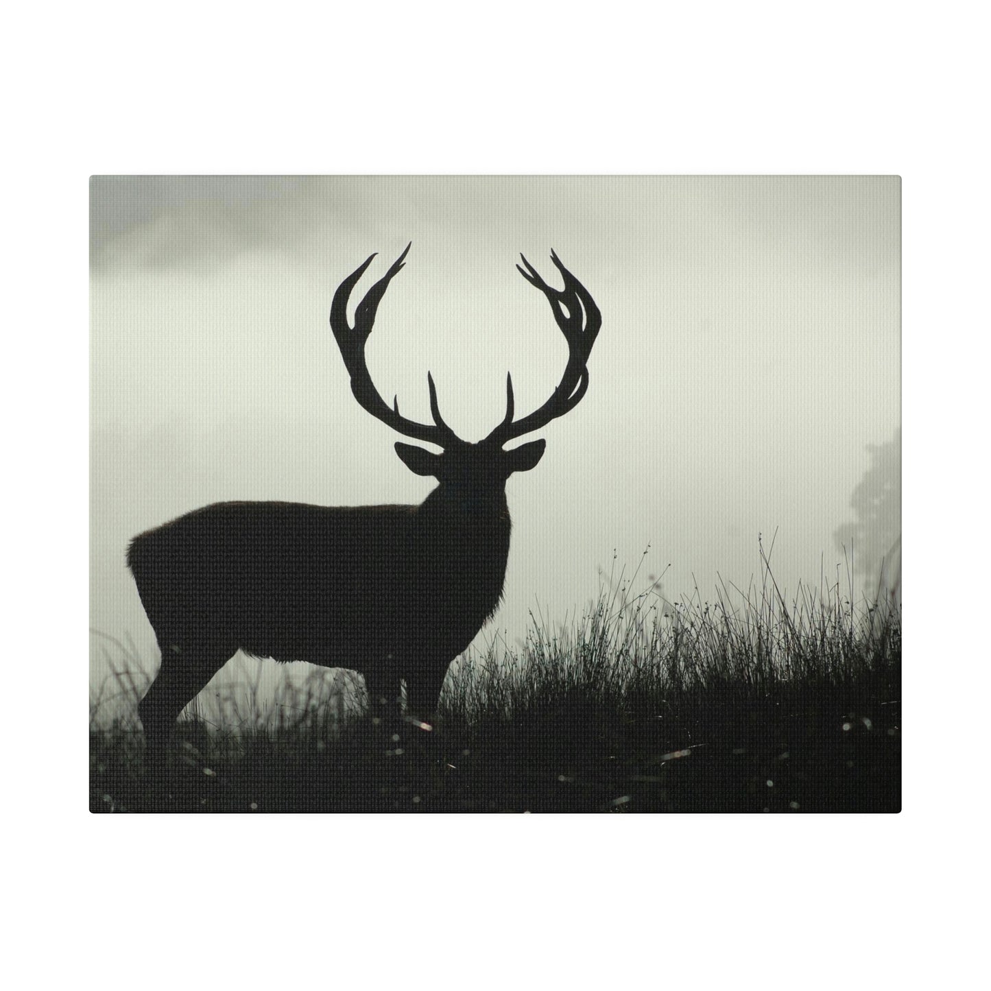 Big Buck on Matte Canvas, Stretched, 0.75"