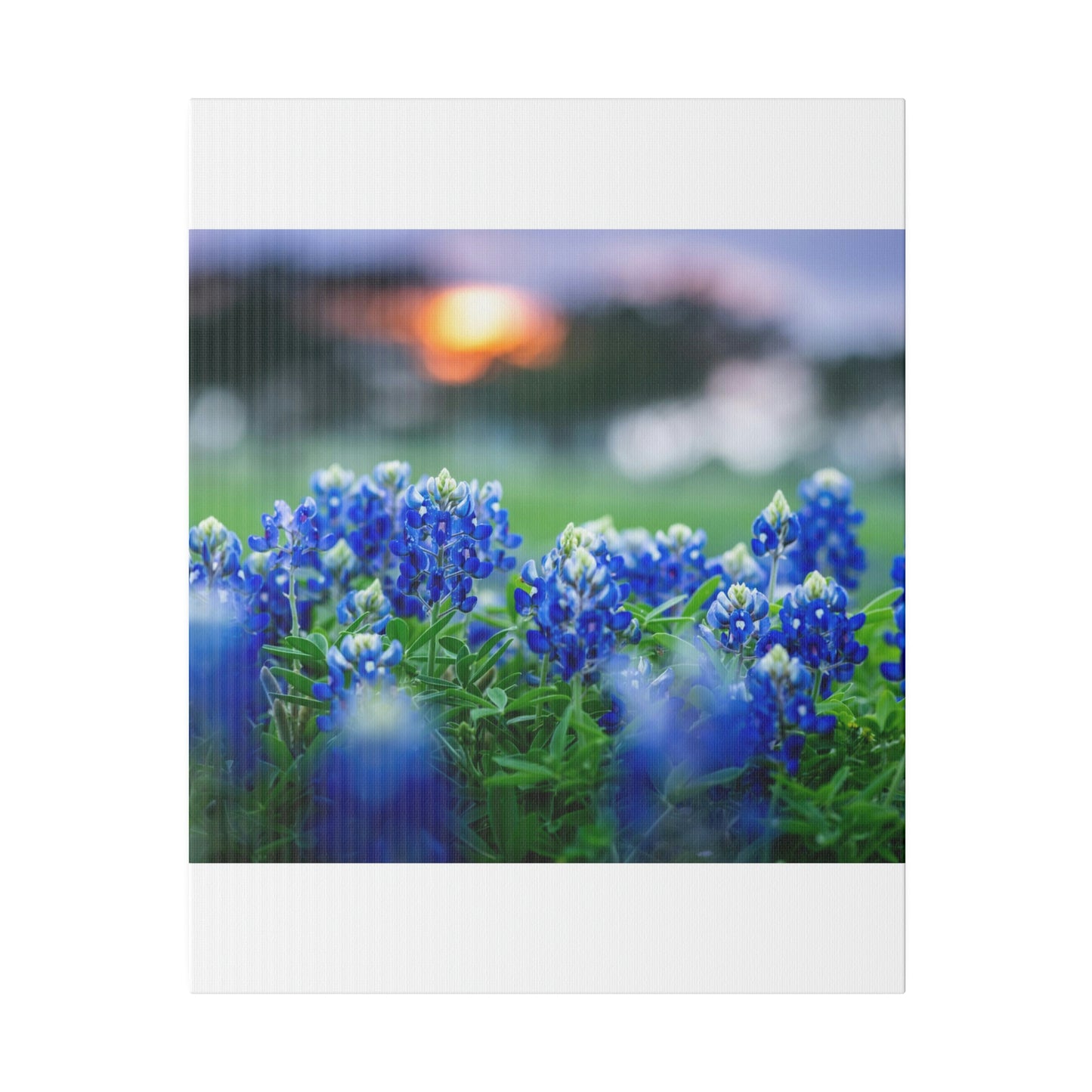 Blue Bonnets on matte Canvas, Stretched, 0.75"