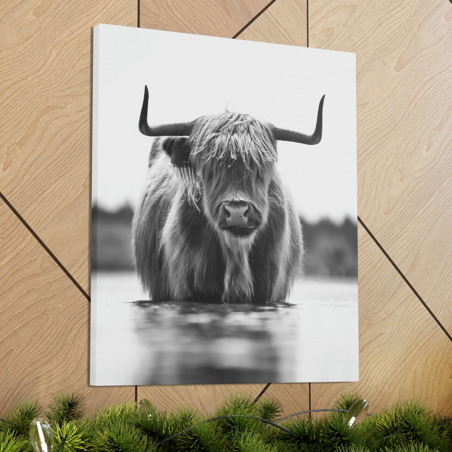 Highland Cow in water