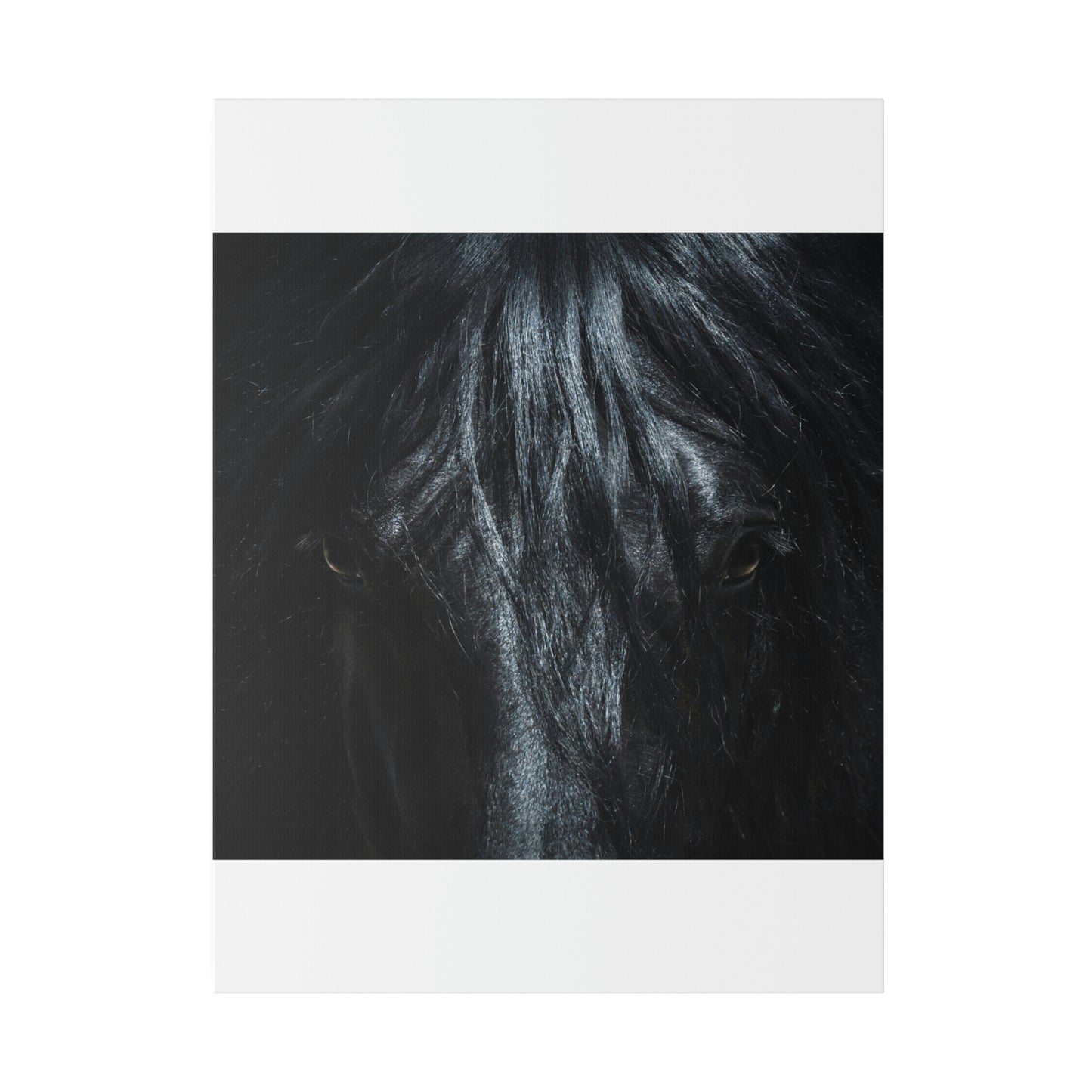 Black horse Face on Matte Canvas, Stretched, 0.75"