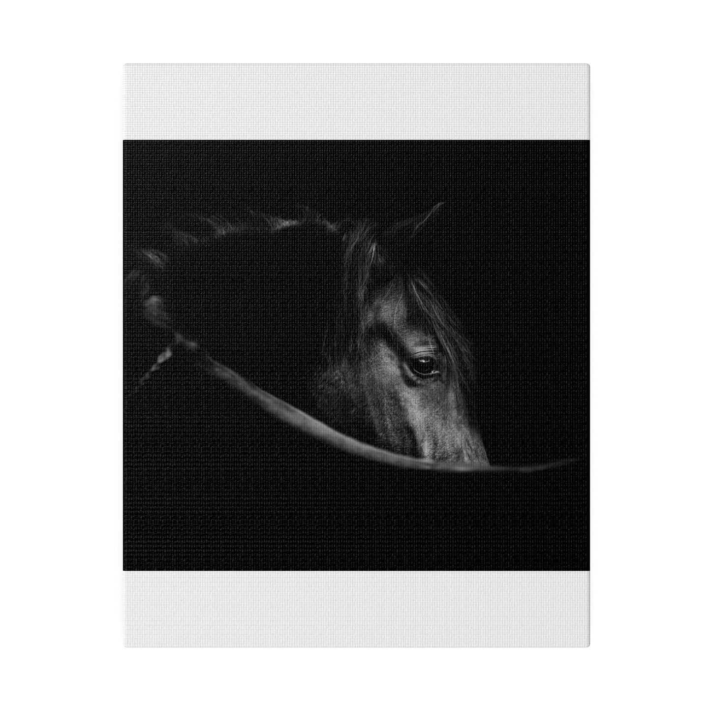 Black Beauty on Matte Canvas, Stretched, 0.75"