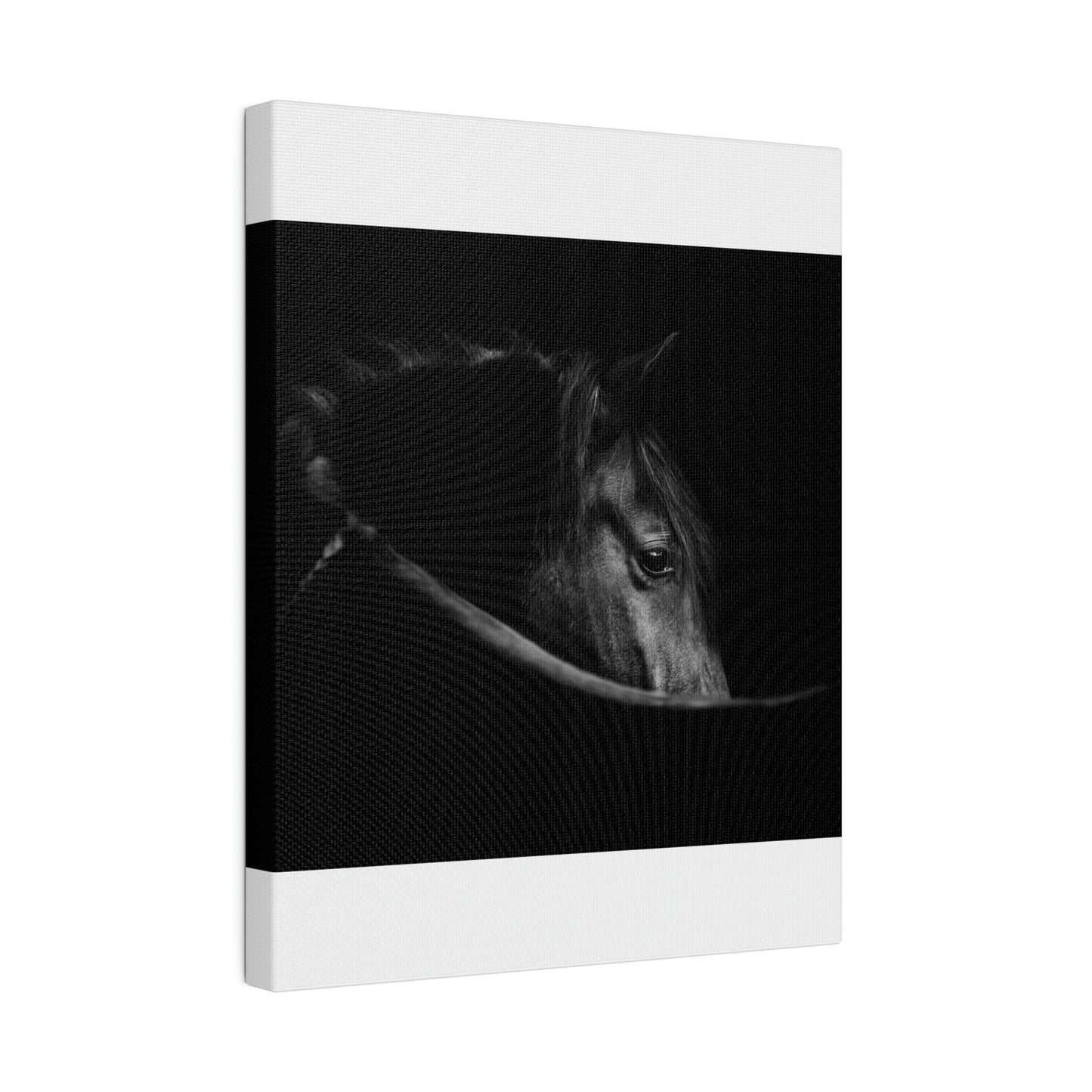 Black Beauty on Matte Canvas, Stretched, 0.75"