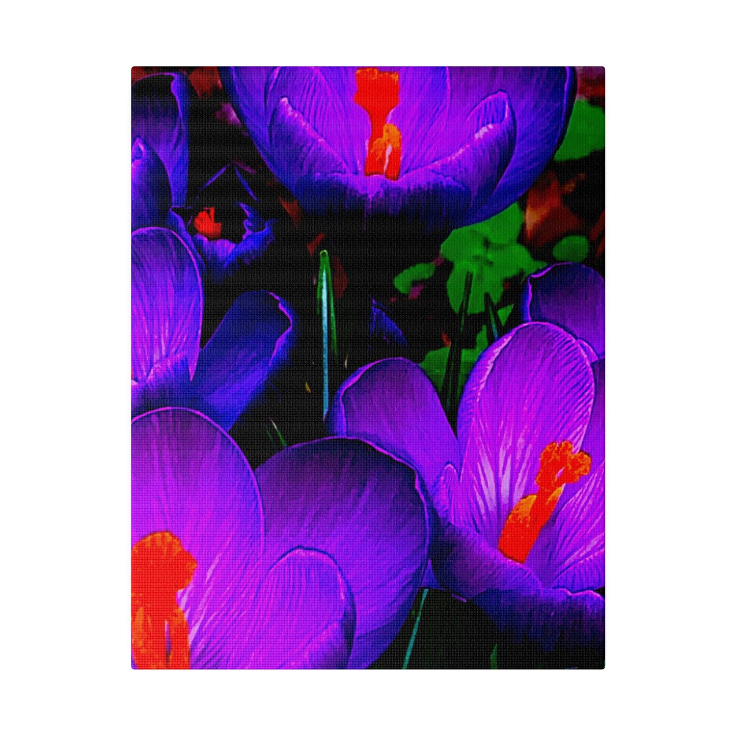 Purple Flowers on Matte Canvas, Stretched, 0.75"