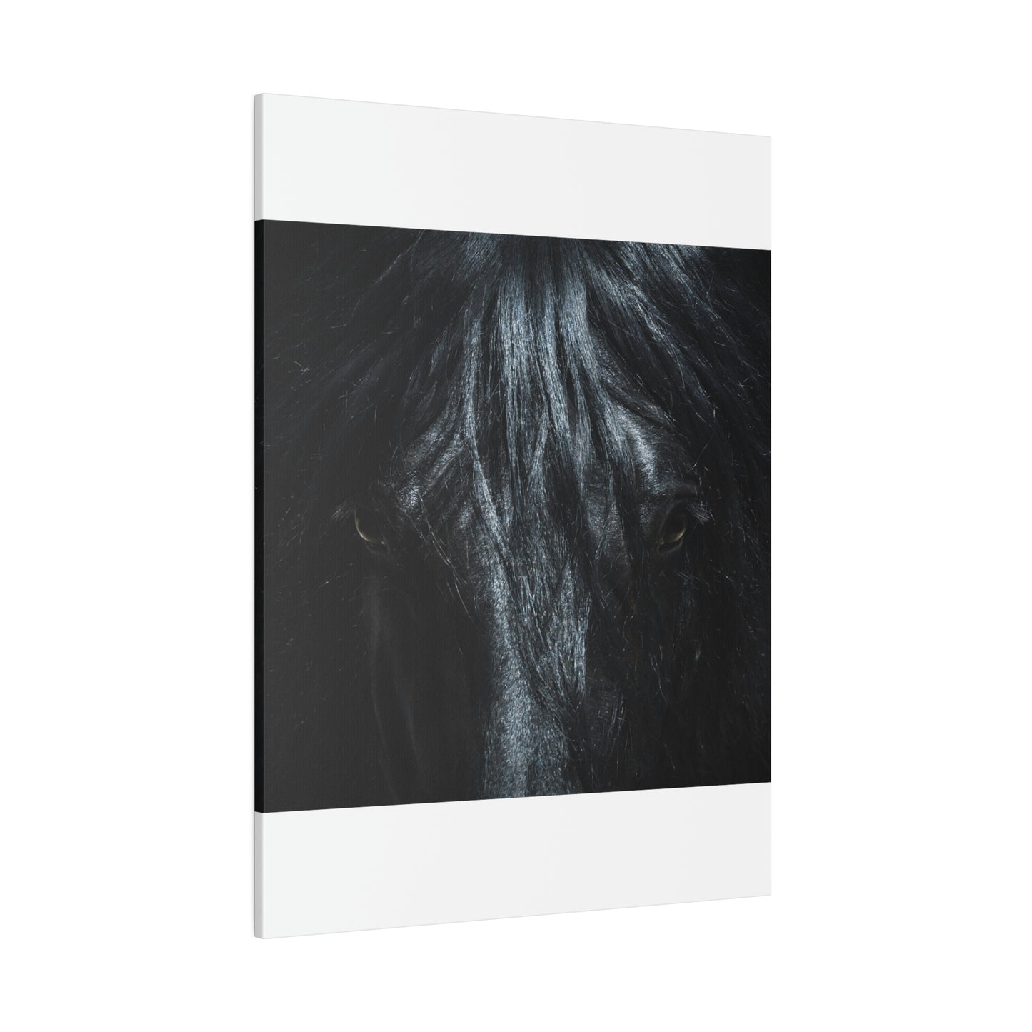 Black horse Face on Matte Canvas, Stretched, 0.75"