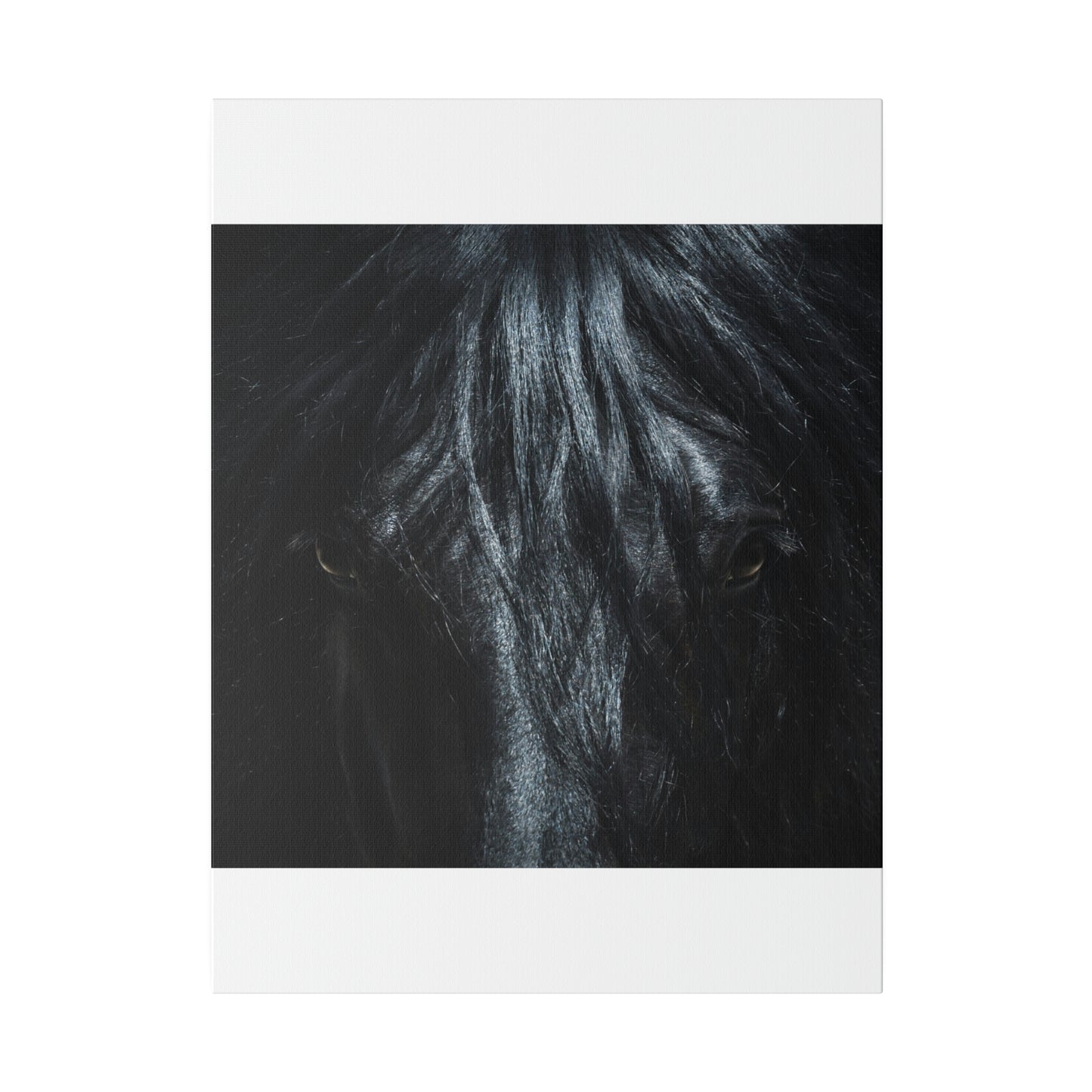 Black horse Face on Matte Canvas, Stretched, 0.75"