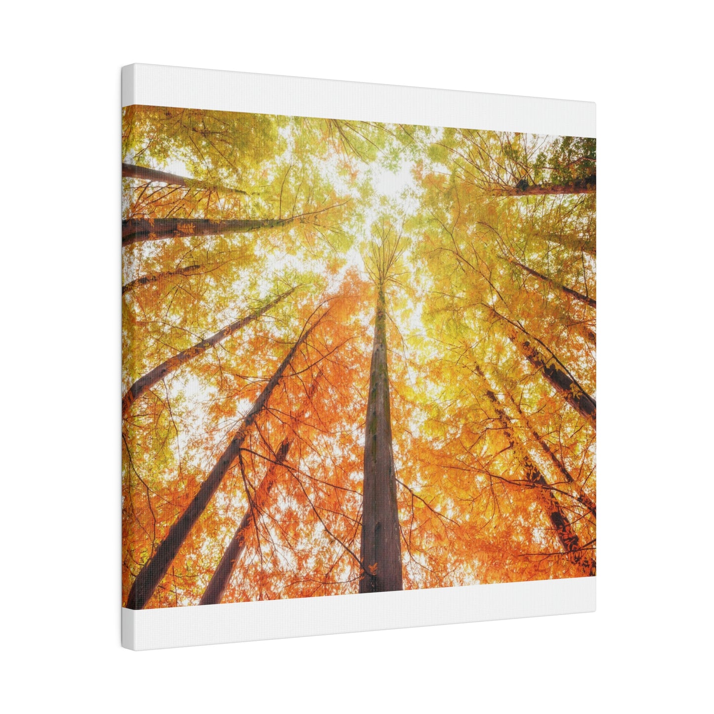 A fall Dream on Matte Canvas, Stretched, 0.75"